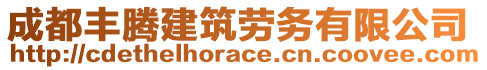 成都豐騰建筑勞務(wù)有限公司