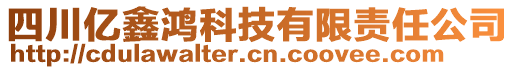 四川億鑫鴻科技有限責任公司