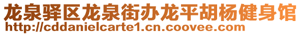 龍泉驛區(qū)龍泉街辦龍平胡楊健身館