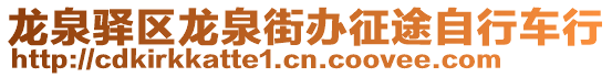 龙泉驿区龙泉街办征途自行车行