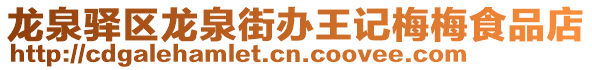 龙泉驿区龙泉街办王记梅梅食品店