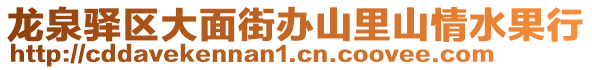 龍泉驛區(qū)大面街辦山里山情水果行