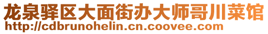 龍泉驛區(qū)大面街辦大師哥川菜館