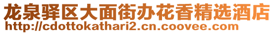 龍泉驛區(qū)大面街辦花香精選酒店