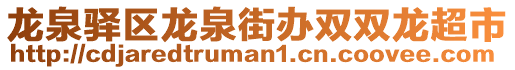 龙泉驿区龙泉街办双双龙超市