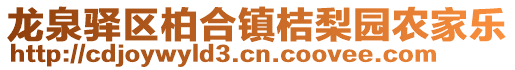 龍泉驛區柏合鎮桔梨園農家樂