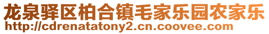 龍泉驛區(qū)柏合鎮(zhèn)毛家樂(lè)園農(nóng)家樂(lè)