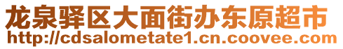 龍泉驛區大面街辦東原超市