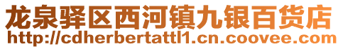 龍泉驛區西河鎮九銀百貨店