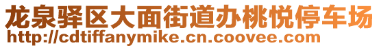 龍泉驛區(qū)大面街道辦桃悅停車場