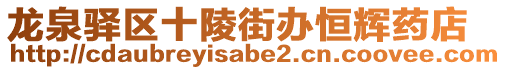 龍泉驛區十陵街辦恒輝藥店
