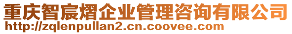 重慶智宸熠企業(yè)管理咨詢有限公司