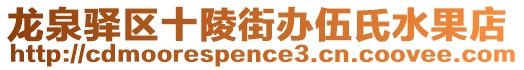 龍泉驛區(qū)十陵街辦伍氏水果店