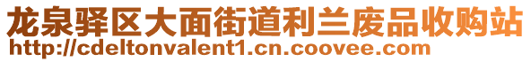 龍泉驛區(qū)大面街道利蘭廢品收購站