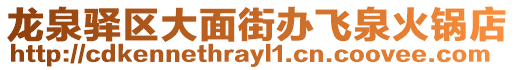 龍泉驛區大面街辦飛泉火鍋店