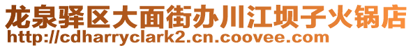 龍泉驛區(qū)大面街辦川江壩子火鍋店