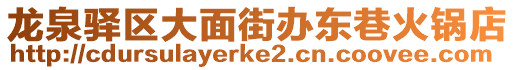 龍泉驛區大面街辦東巷火鍋店