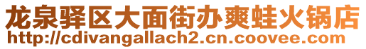 龍泉驛區大面街辦爽蛙火鍋店