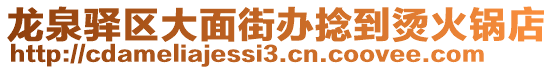 龍泉驛區(qū)大面街辦捻到燙火鍋店