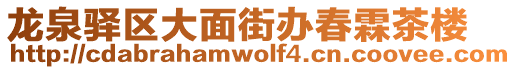 龍泉驛區(qū)大面街辦春霖茶樓