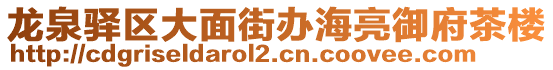 龍泉驛區(qū)大面街辦海亮御府茶樓