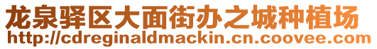 龍泉驛區(qū)大面街辦之城種植場