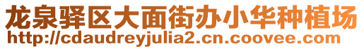 龍泉驛區大面街辦小華種植場