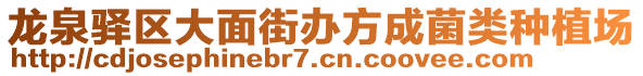 龍泉驛區(qū)大面街辦方成菌類種植場