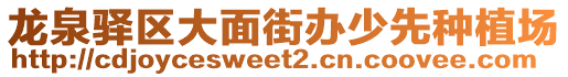 龍泉驛區(qū)大面街辦少先種植場