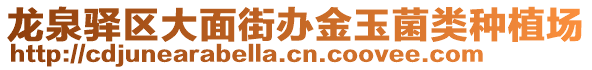 龍泉驛區(qū)大面街辦金玉菌類(lèi)種植場(chǎng)