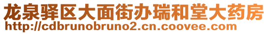 龍泉驛區(qū)大面街辦瑞和堂大藥房