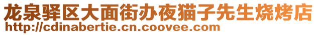 龍泉驛區大面街辦夜貓子先生燒烤店