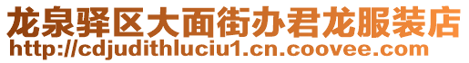 龍泉驛區大面街辦君龍服裝店