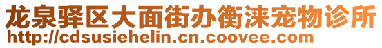 龍泉驛區(qū)大面街辦衡淶寵物診所