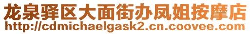 龍泉驛區大面街辦鳳姐按摩店