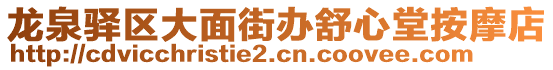 龍泉驛區(qū)大面街辦舒心堂按摩店