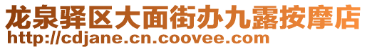 龍泉驛區(qū)大面街辦九露按摩店