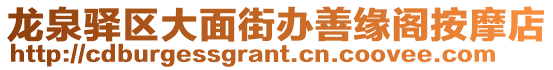 龍泉驛區(qū)大面街辦善緣閣按摩店