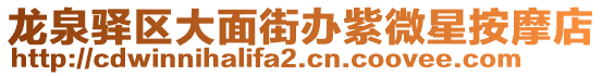 龍泉驛區大面街辦紫微星按摩店