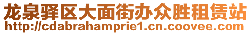 龍泉驛區(qū)大面街辦眾勝租賃站