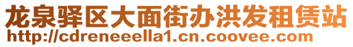 龍泉驛區(qū)大面街辦洪發(fā)租賃站