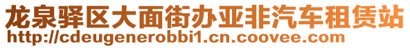 龍泉驛區(qū)大面街辦亞非汽車租賃站