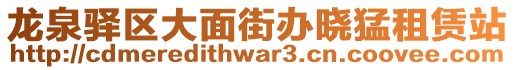 龍泉驛區(qū)大面街辦曉猛租賃站