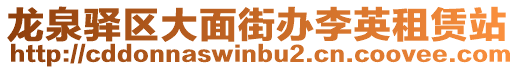 龍泉驛區大面街辦李英租賃站