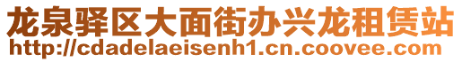 龍泉驛區(qū)大面街辦興龍租賃站