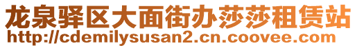 龍泉驛區(qū)大面街辦莎莎租賃站