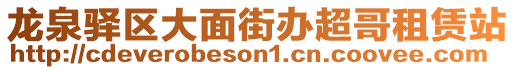 龍泉驛區大面街辦超哥租賃站