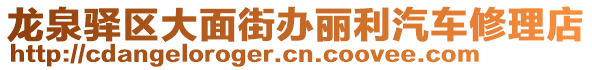 龍泉驛區(qū)大面街辦麗利汽車修理店