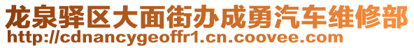 龍泉驛區(qū)大面街辦成勇汽車維修部