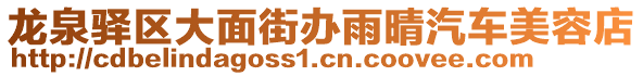 龍泉驛區(qū)大面街辦雨晴汽車美容店